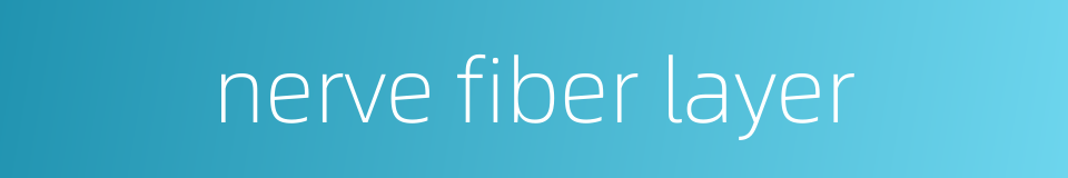 nerve fiber layer的同义词