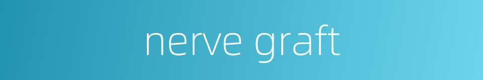 nerve graft的同义词