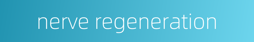 nerve regeneration的同义词