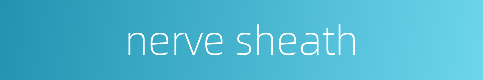 nerve sheath的同义词