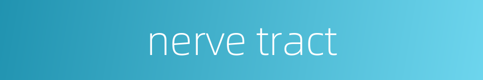 nerve tract的同义词