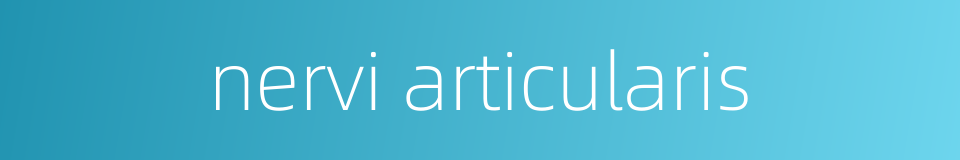 nervi articularis的同义词