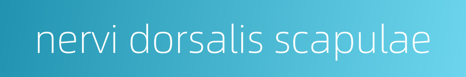 nervi dorsalis scapulae的同义词