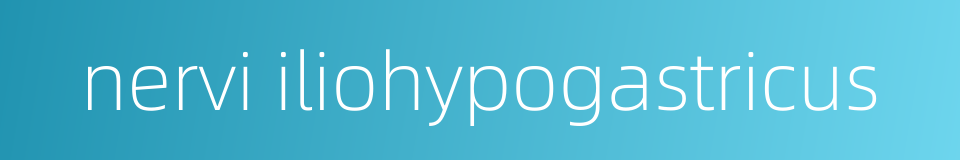 nervi iliohypogastricus的同义词