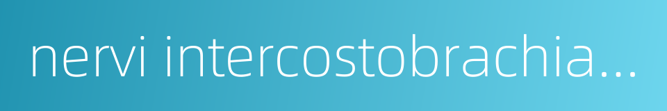 nervi intercostobrachiales的同义词