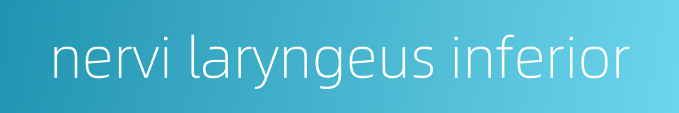 nervi laryngeus inferior的同义词