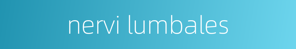 nervi lumbales的同义词