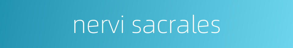 nervi sacrales的同义词