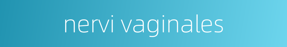 nervi vaginales的同义词