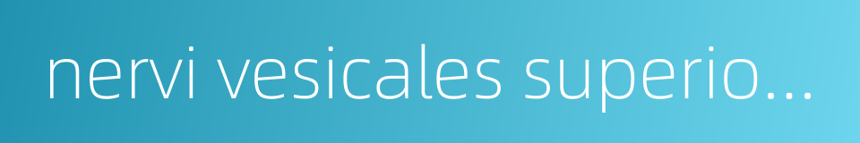 nervi vesicales superiores的同义词