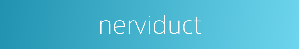 nerviduct的同义词