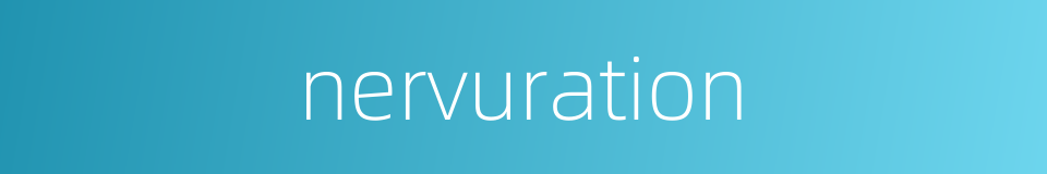 nervuration的同义词