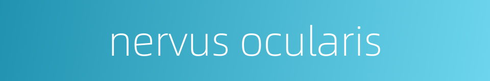 nervus ocularis的同义词