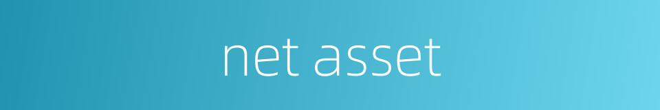 net asset的同义词