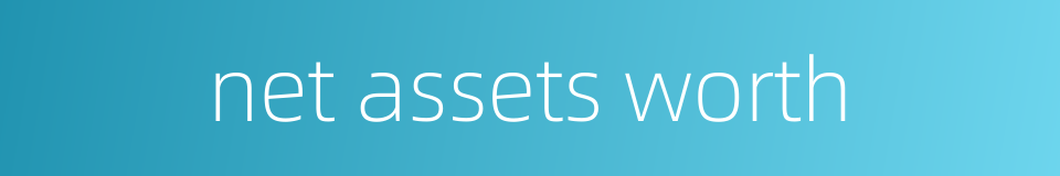 net assets worth的同义词