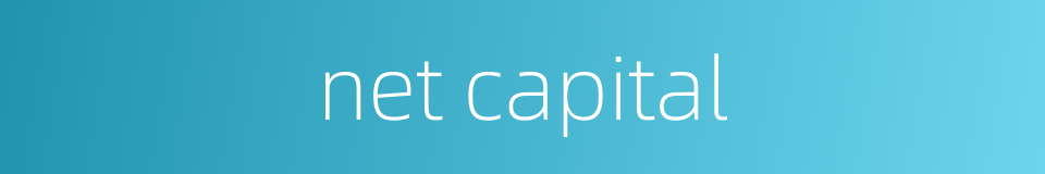 net capital的同义词
