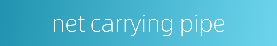 net carrying pipe的同义词