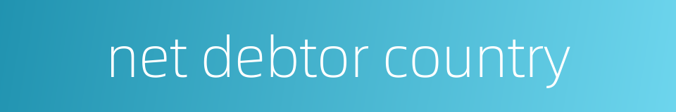 net debtor country的同义词