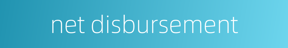 net disbursement的同义词