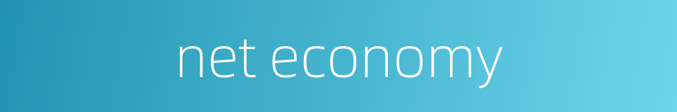 net economy的同义词