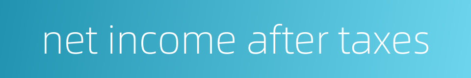 net income after taxes的同义词