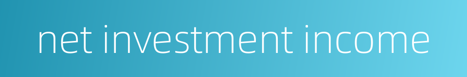 net investment income的同义词