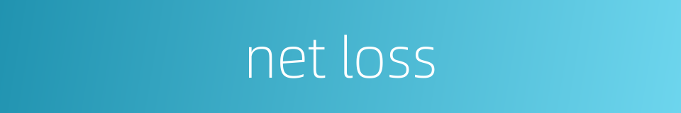 net loss的同义词