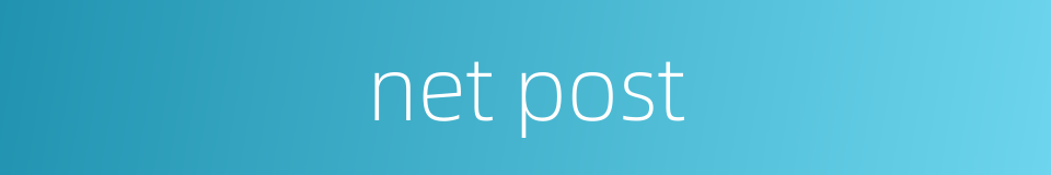 net post的同义词