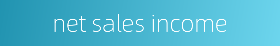net sales income的同义词