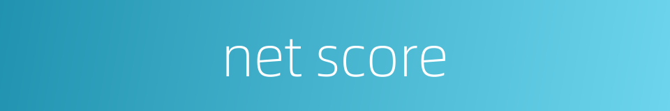 net score的同义词