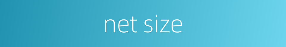 net size的同义词