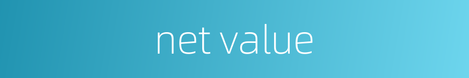 net value的同义词