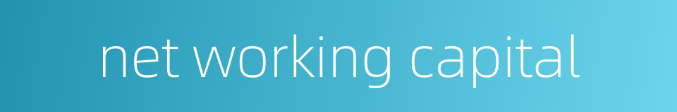 net working capital的同义词