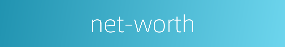 net-worth的同义词