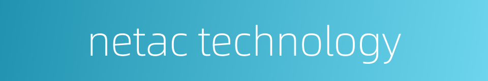 netac technology的同义词