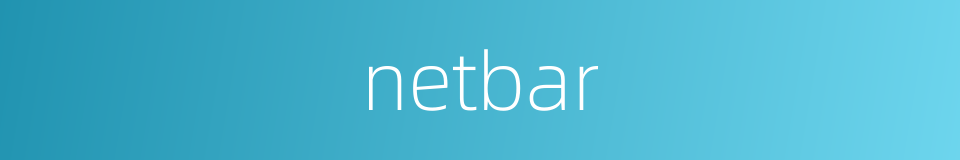 netbar的同义词