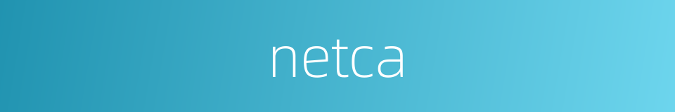 netca的同义词