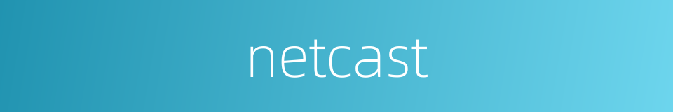 netcast的同义词