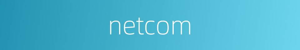 netcom的同义词