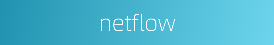 netflow的同义词