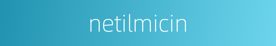 netilmicin的同义词