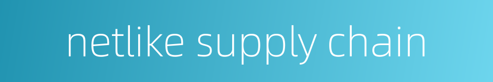 netlike supply chain的同义词