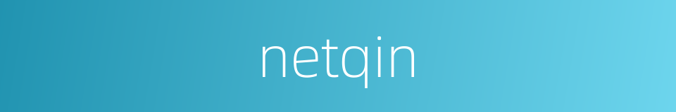 netqin的同义词