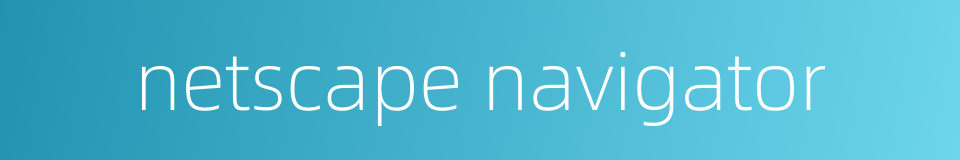 netscape navigator的同义词