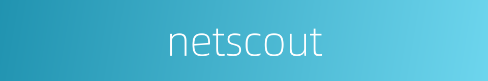 netscout的同义词