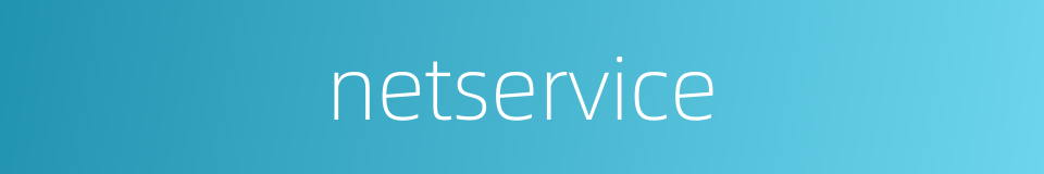 netservice的同义词