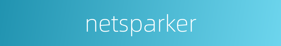 netsparker的同义词