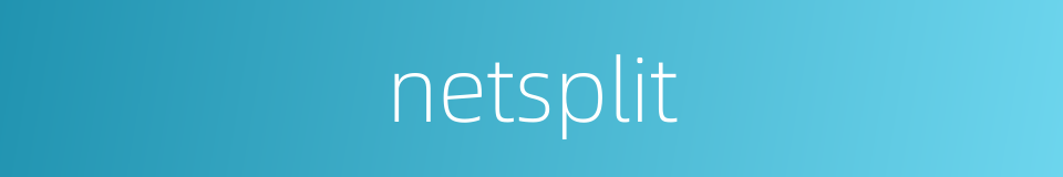 netsplit的同义词