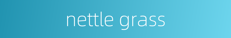 nettle grass的同义词