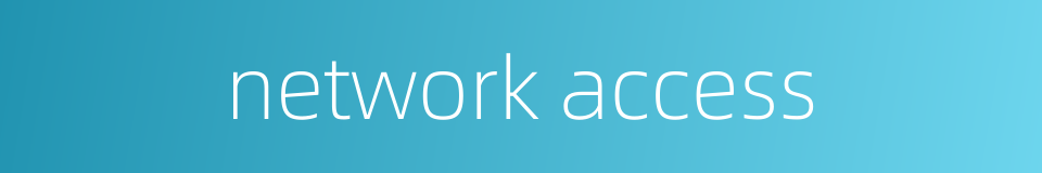 network access的同义词